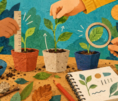 07-ciencias-investigacion-800x533 Ilustración de manos que observan y miden el crecimiento de plantas en una investigación escolar